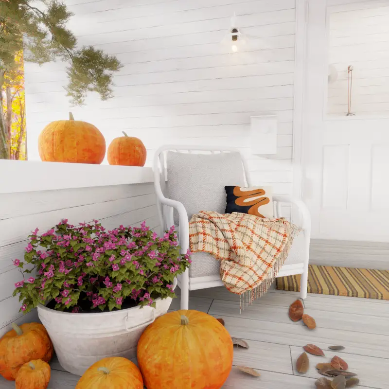 redecor-img