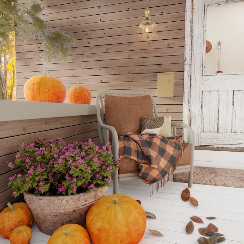 redecor-img