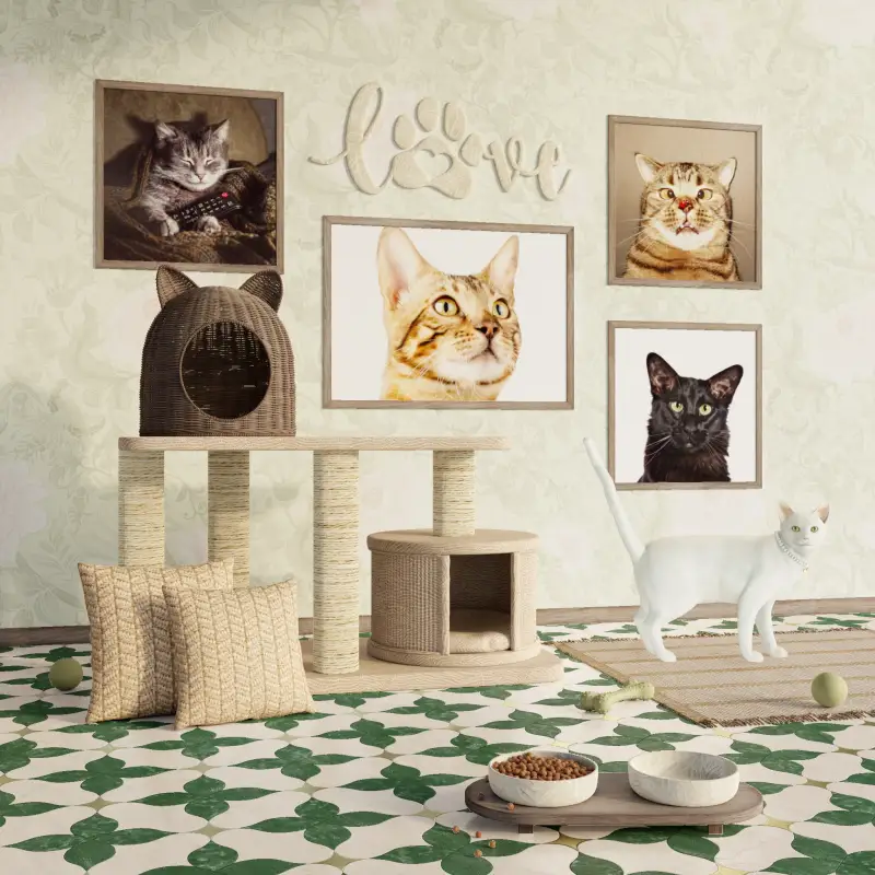 redecor-img