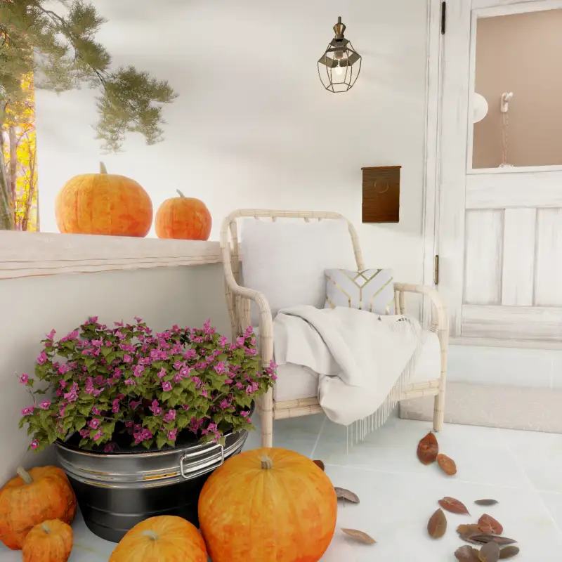 redecor-img