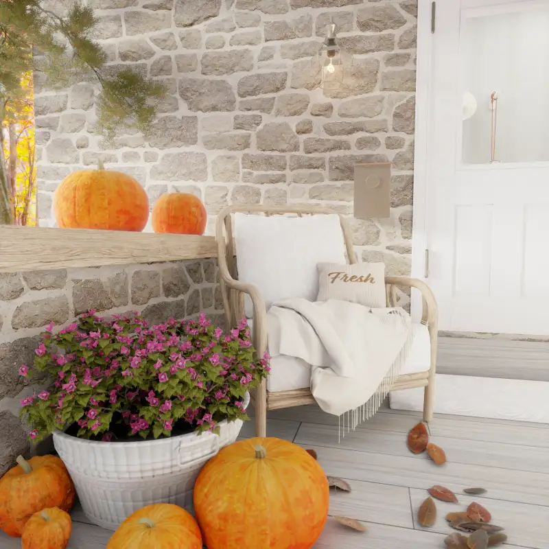 redecor-img