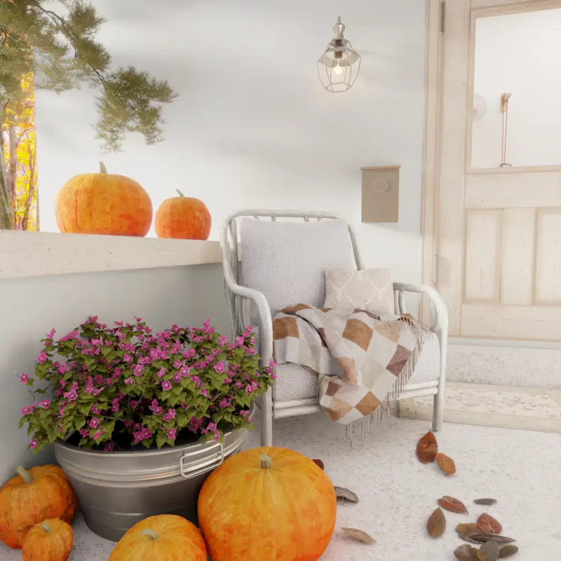 redecor-img