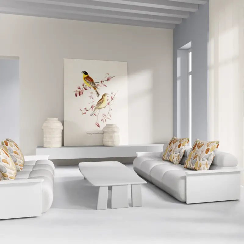 redecor-img
