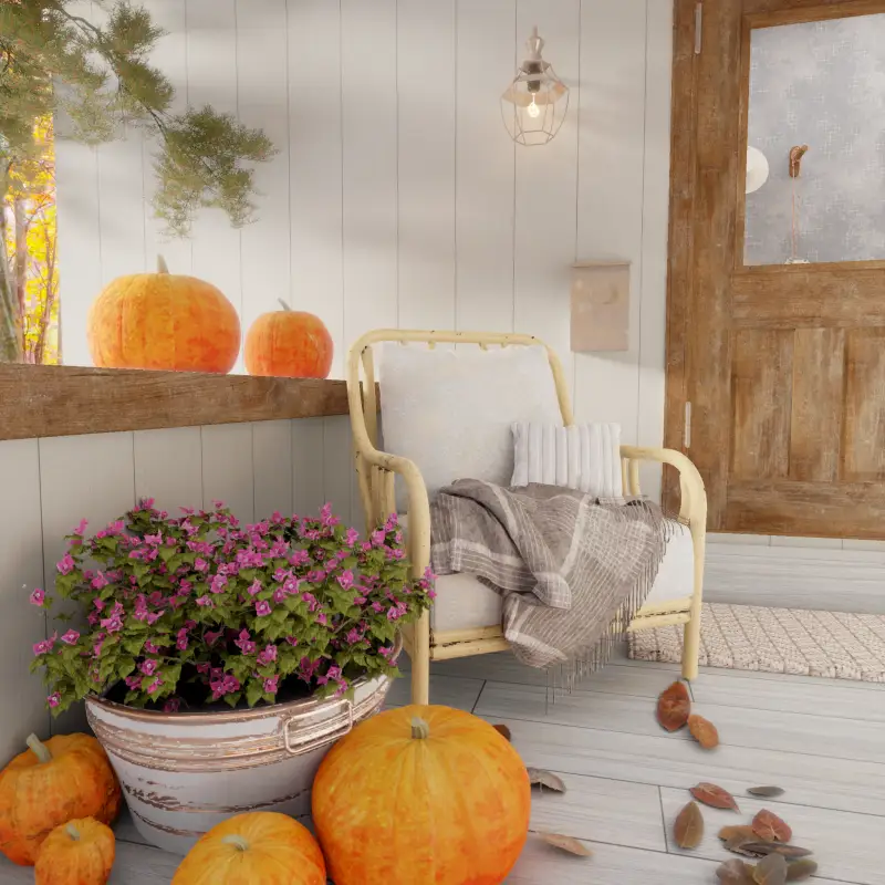 redecor-img